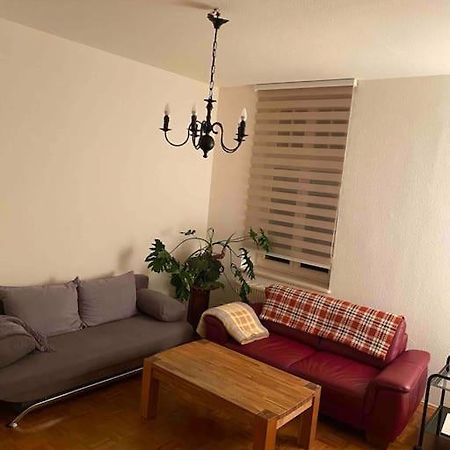 Schone Altbauwohnung Mit Grun In Ruhiger Lage Leipzig Ngoại thất bức ảnh