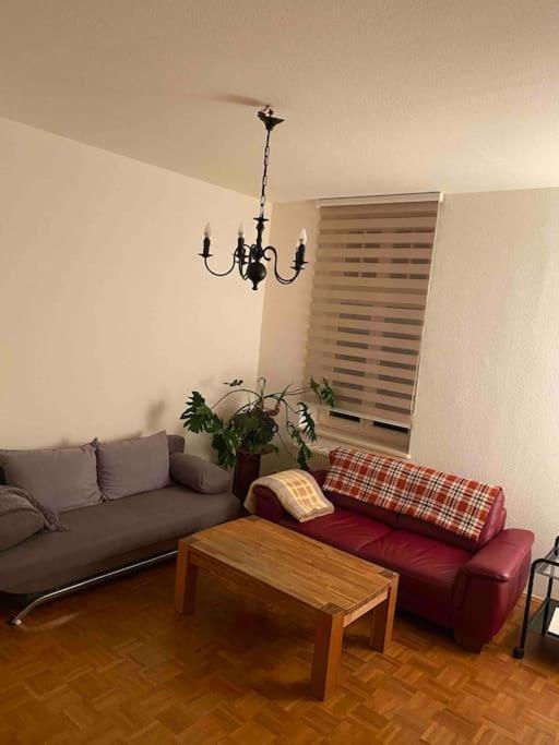 Schone Altbauwohnung Mit Grun In Ruhiger Lage Leipzig Ngoại thất bức ảnh